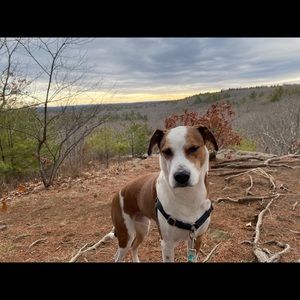 Meet your Posher, Jonathan